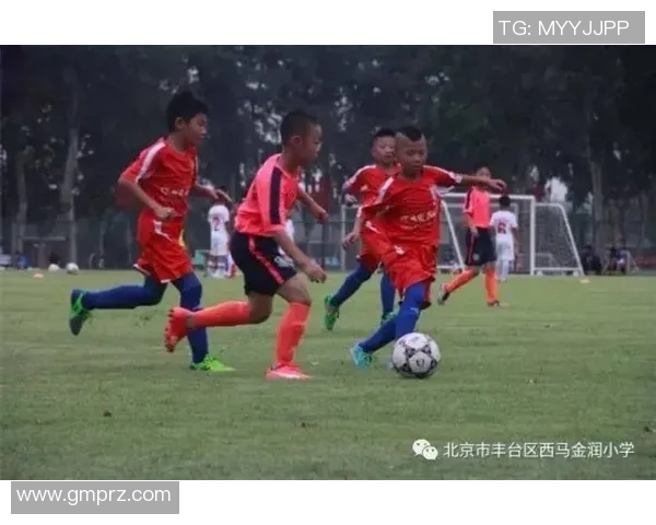 猎豹足球俱乐部：奋勇争先的足球梦想与激情之旅